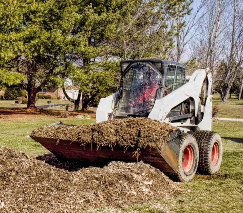 Bobcat loader carrying a bucket of mulch across a yard