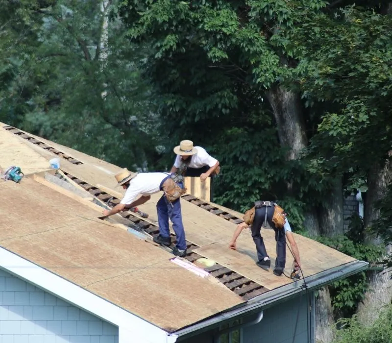 Crew installing new roof decking on a house