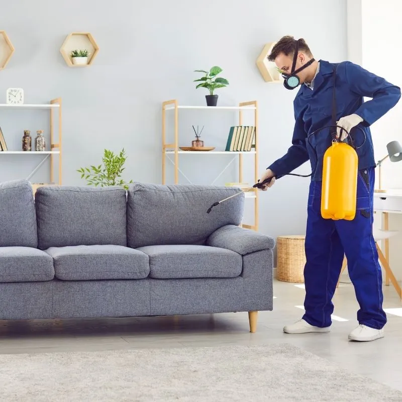 Technician in blue coveralls and a respirator spraying a grey sofa in a bright living room